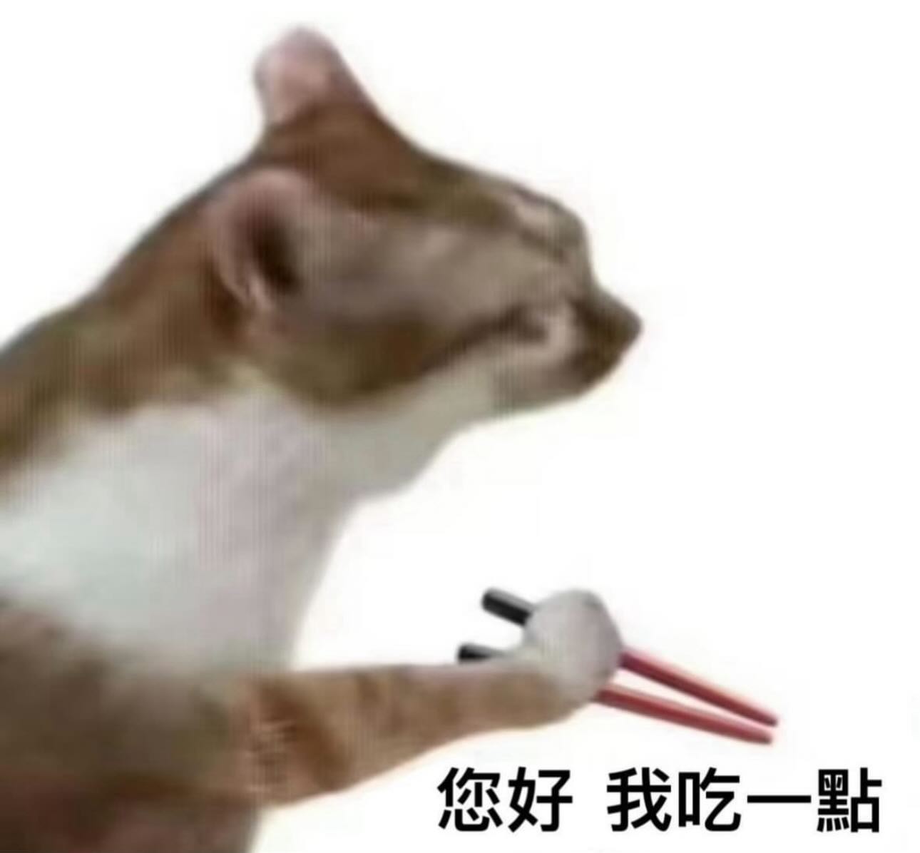 梗圖行銷 「你好，我吃一點」